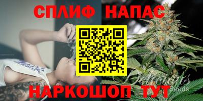 mdpv Славгород