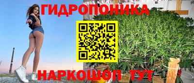 шишки Сланцы
