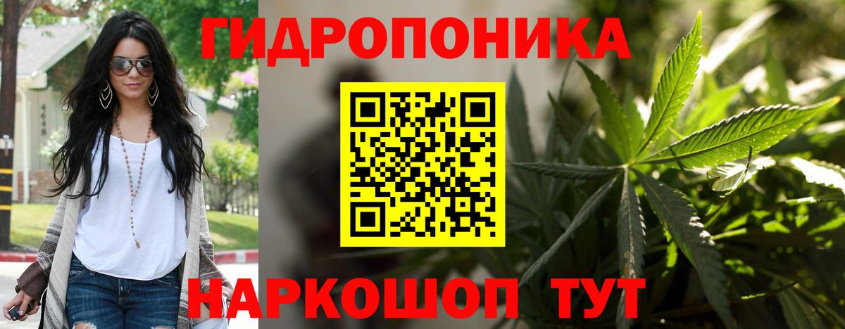 МАРИХУАНА сатива Сафоново